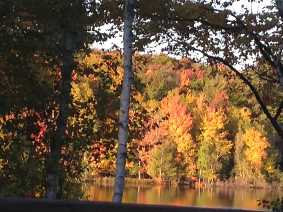 This is the view from the living room windows in October.