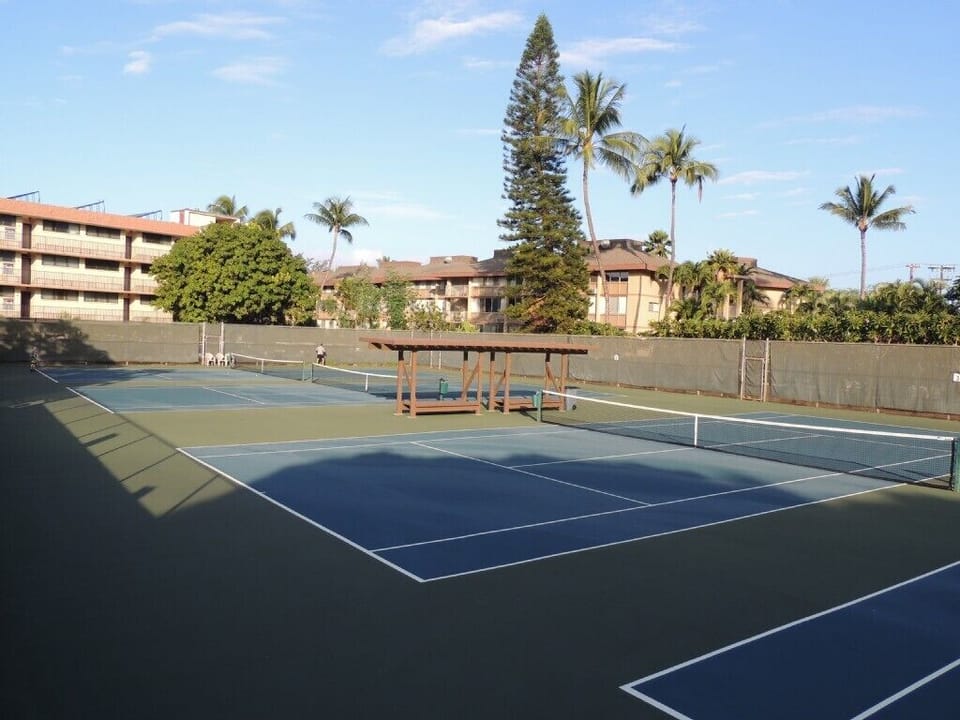 Four tennis courts on the property