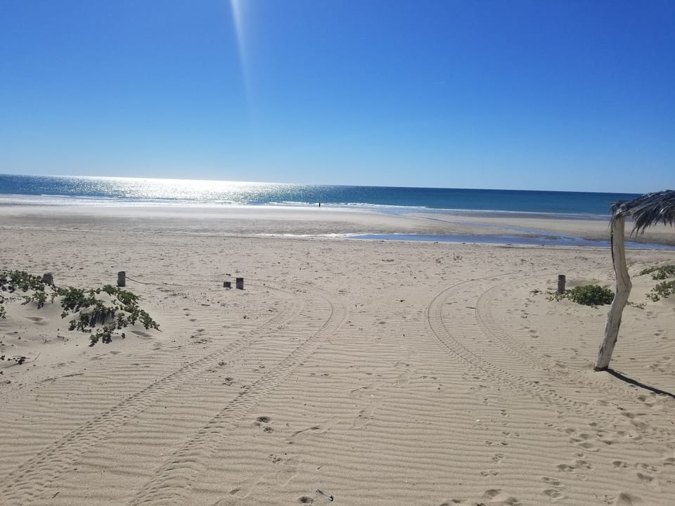 Low tide time of day. This View is from your oceanfront patio.