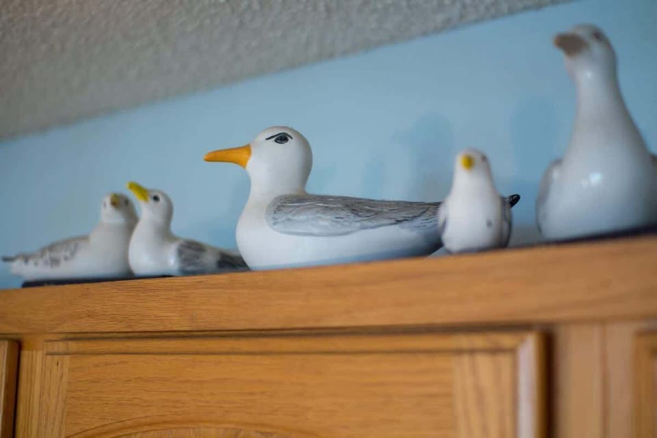 You'll feel right at home here