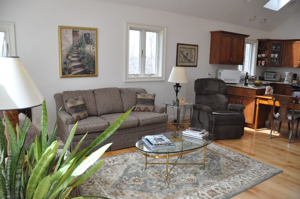 Livingroom and Kitchen
