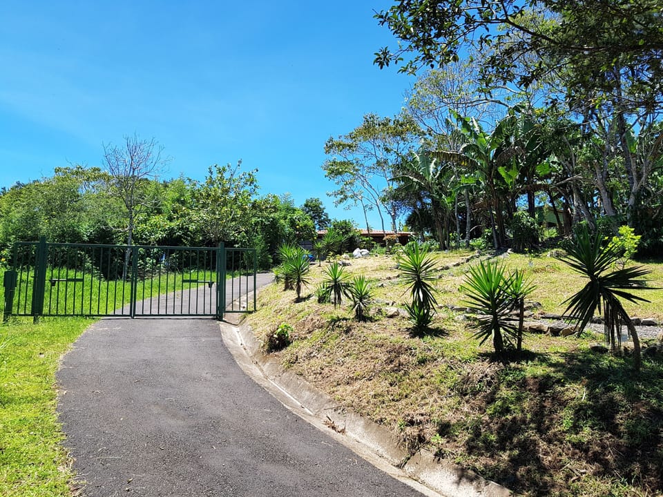 Access road