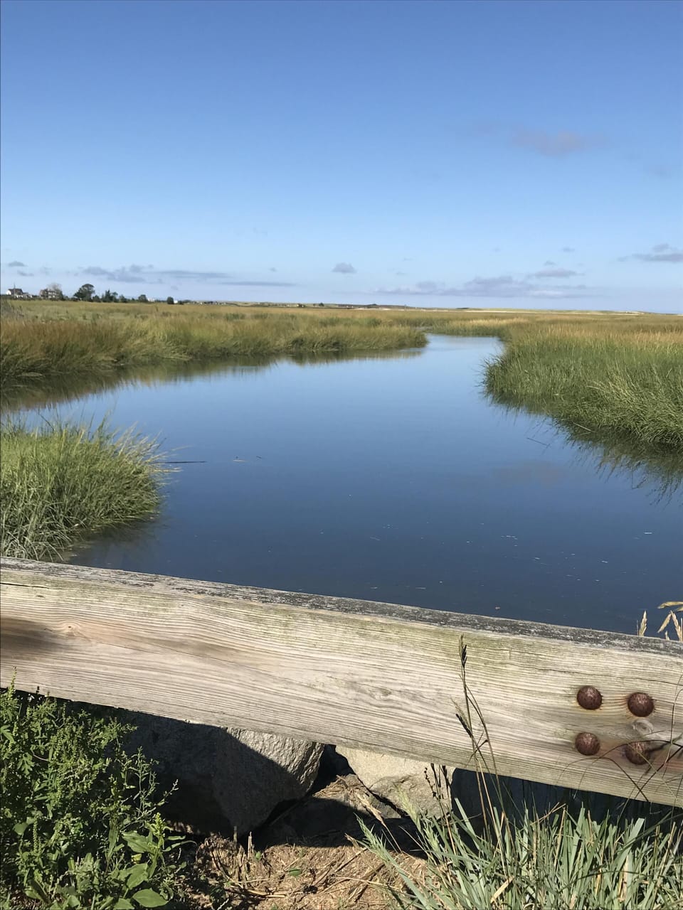Marsh (50 feet from house) at high tide, perfect for kayaking.