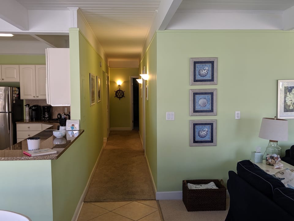 Hall leading to bedrooms and bathrooms