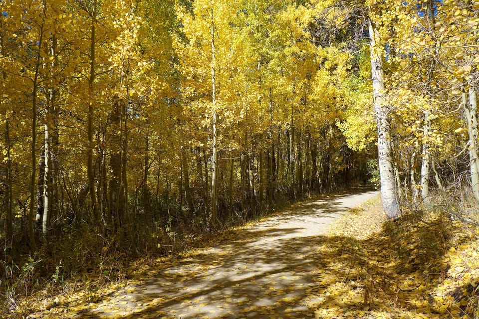 Fall foliage at Marlette Lake