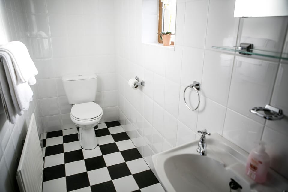 Ensuite toilet of ground floor bedroom