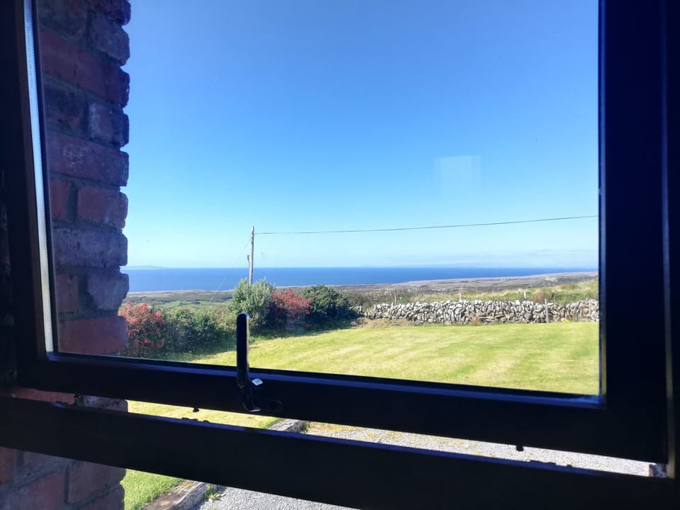 Views from the sitting room 