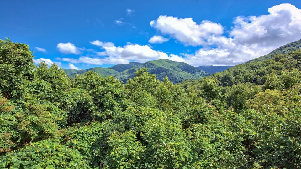 Once you see it, you won't want to leave. Guarantee your book our home again.