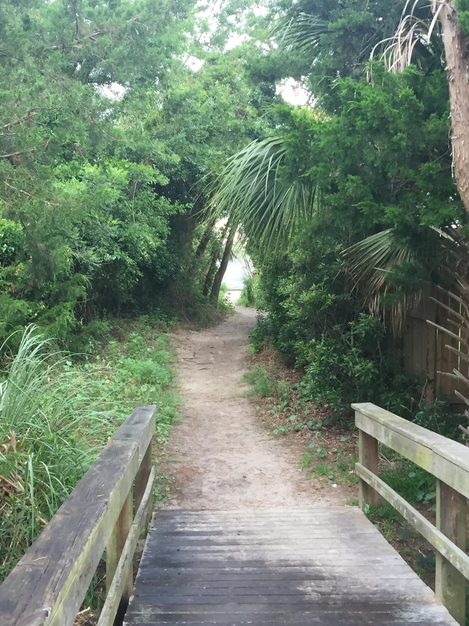 The bird sanctuary  walkway towards the beach