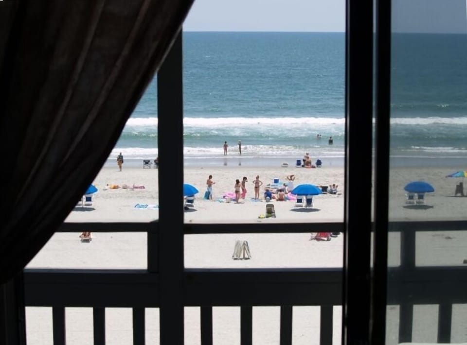 View from Screened-In Porch
