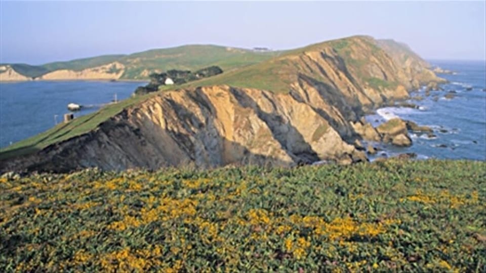 Enjoy nearby sandy beaches, whale migration vistas, trails, and wildflowers