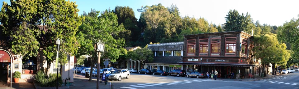 Charming downtown with restaurants, coffee shops and lots of unique boutiques