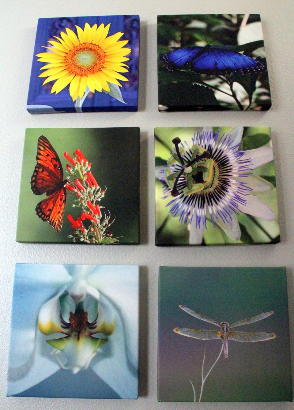 House is filled with great art.