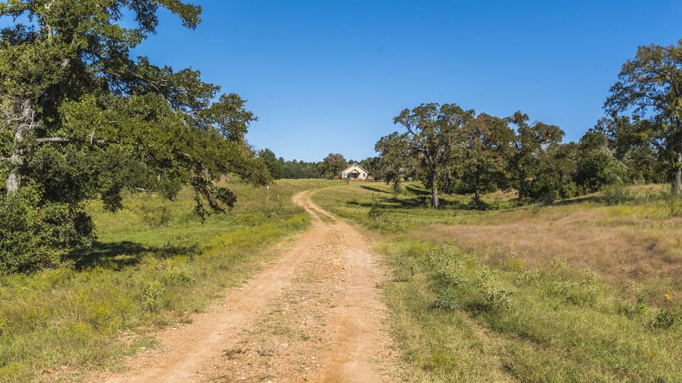 The drive up to the cottage.