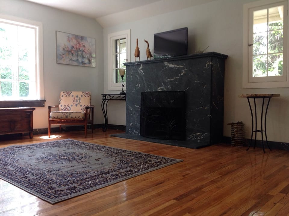 Fireplace and TV in Living Room