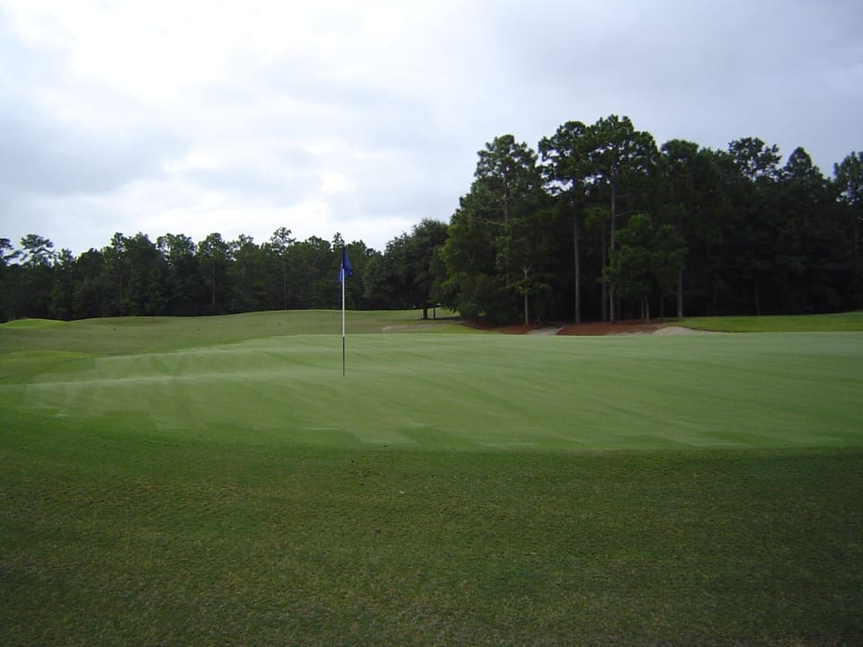 We are adjacent to this tabletop green on the  beautiful 8th hole.