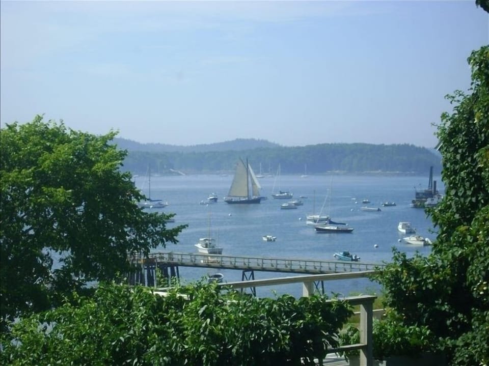View from the Deck