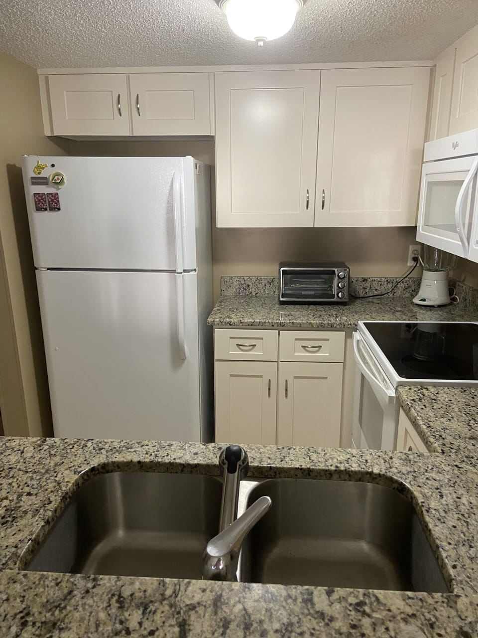 Ice maker refrigerator, dishwasher, and disposal.