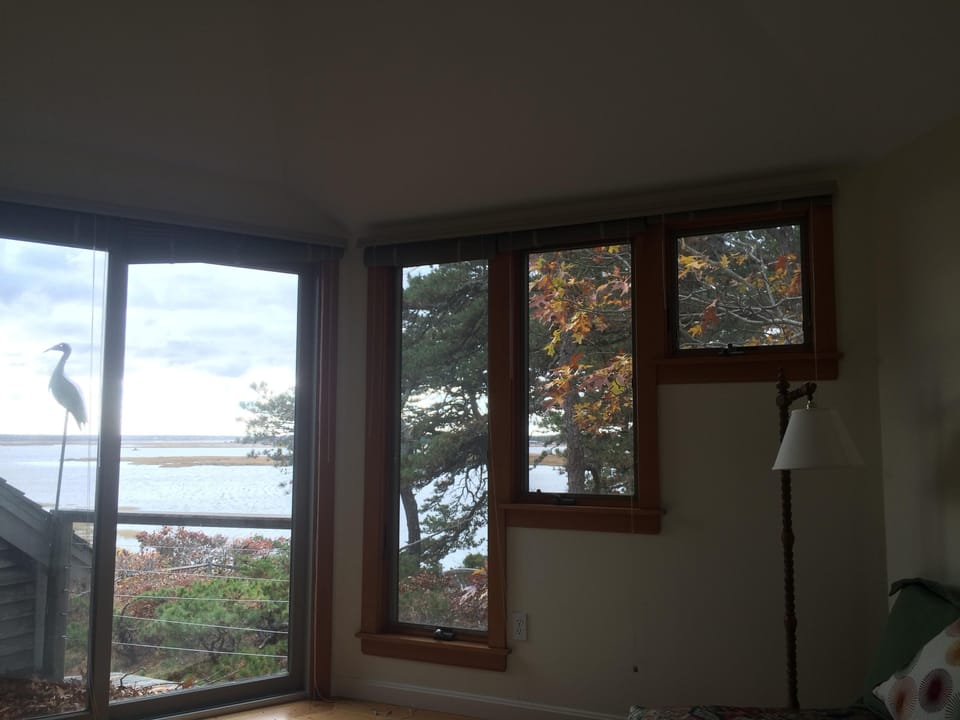 View from Study
