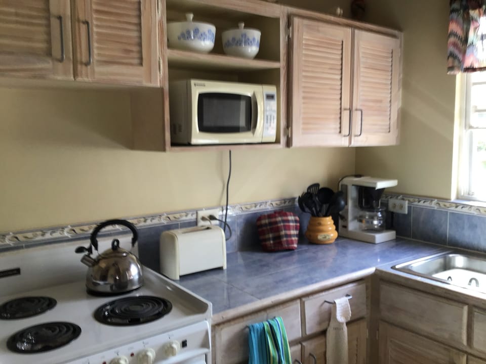Kitchen with all the basic needs.