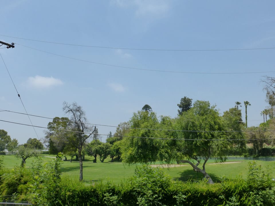View from Living Room and back yard