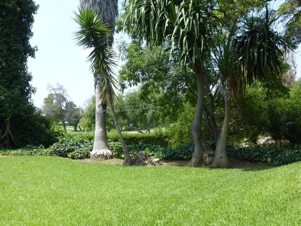 View of golf course from Kitchen and side yard