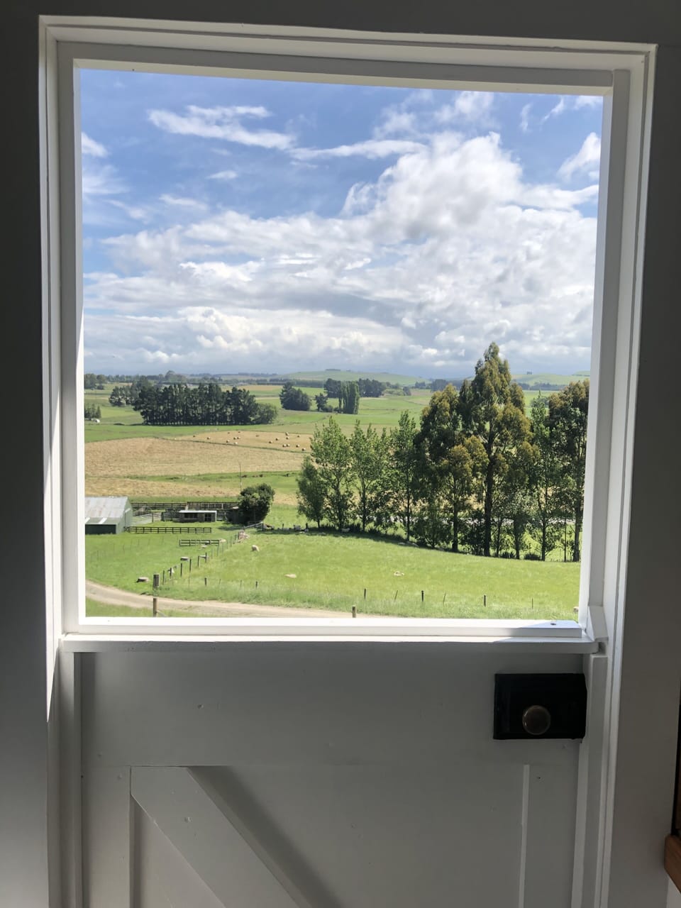 Looking out