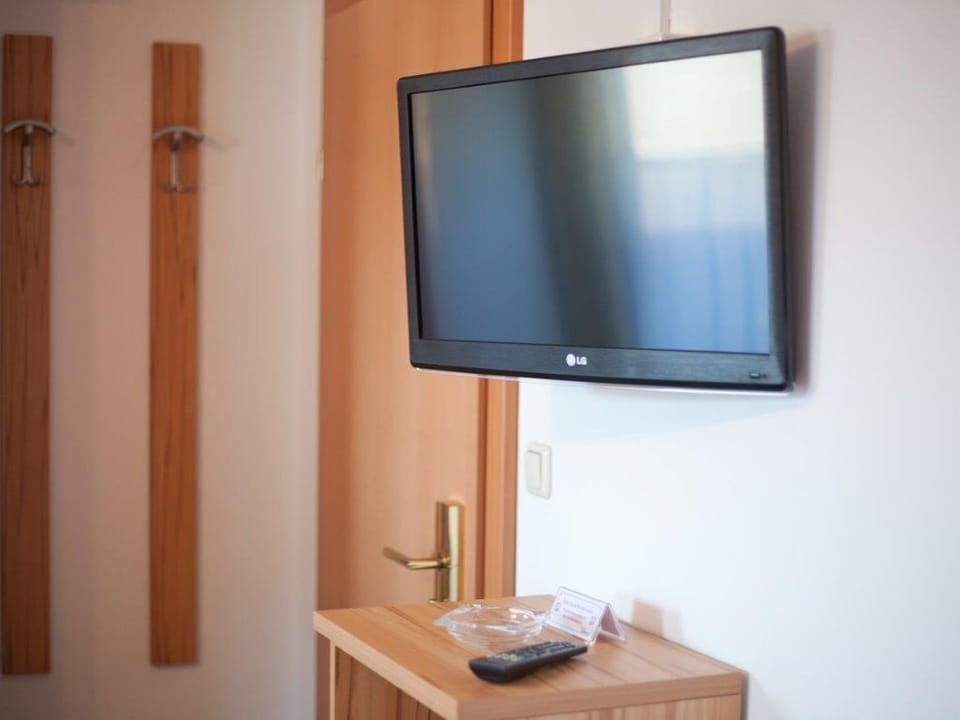 Television