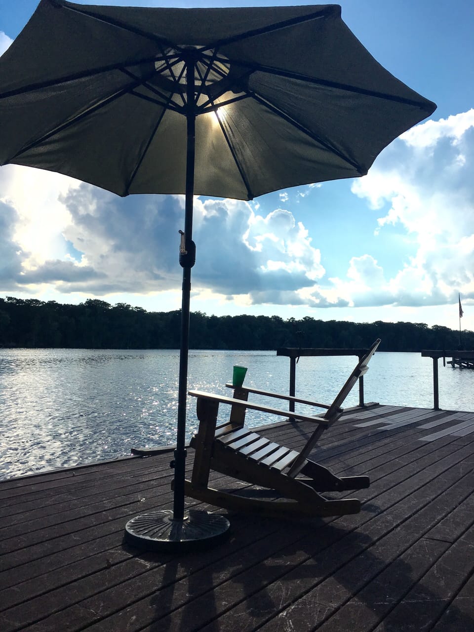 Main dock and the Ocala National Park across the river.