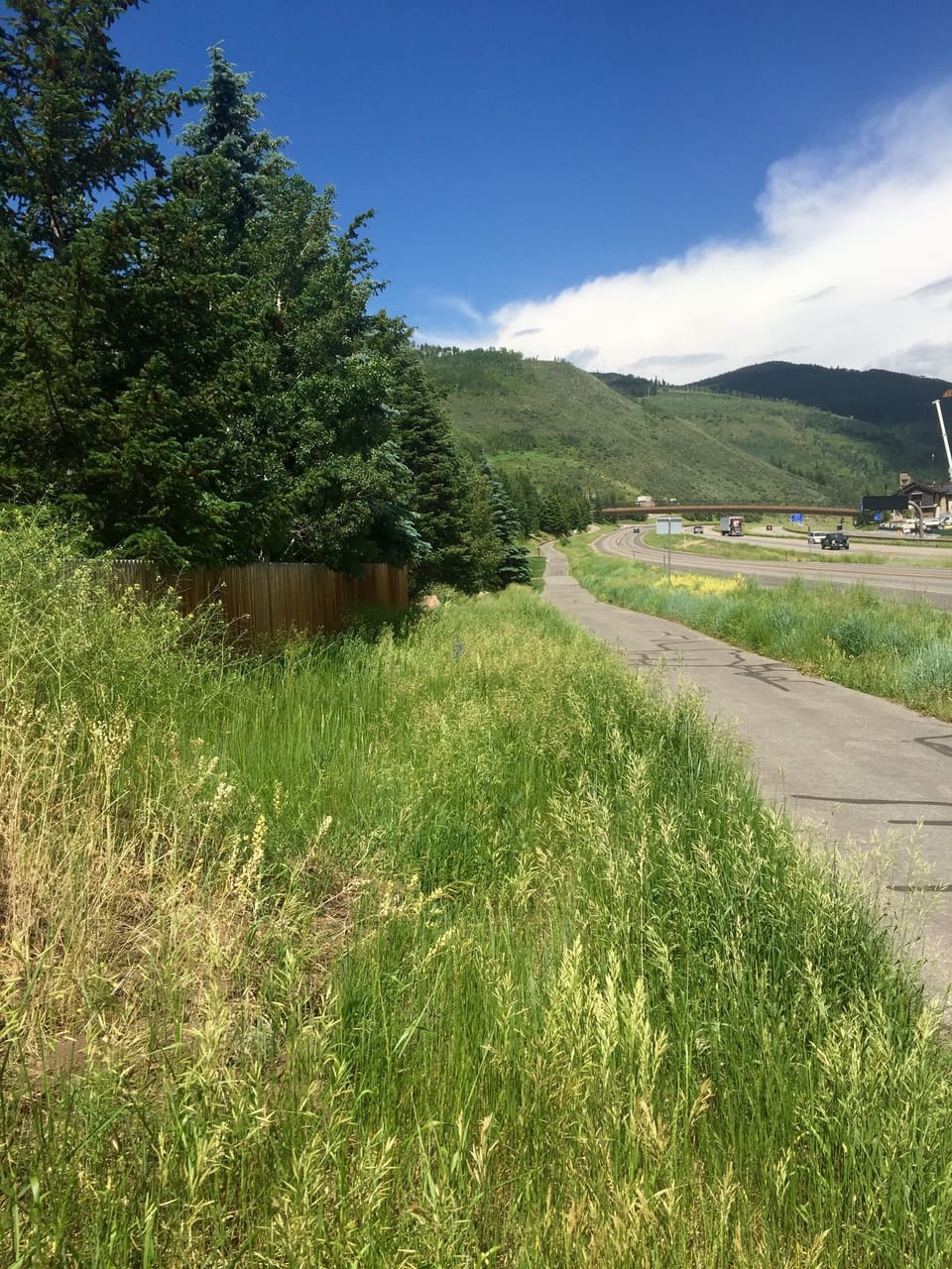 A quarter mile walk to the Gondola in Lion's Head via the pedestrian bridge