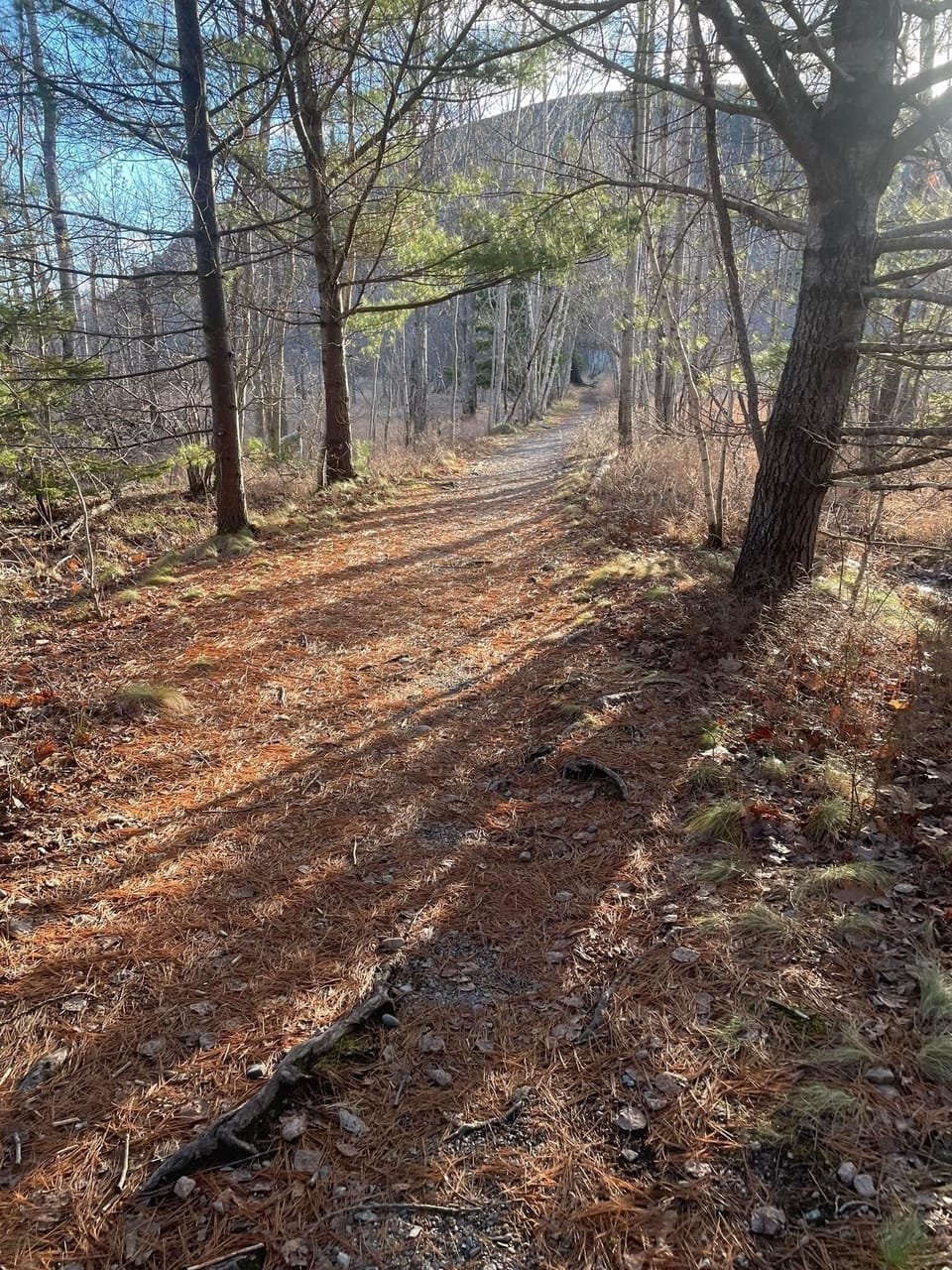 A walk through the Jesup Path in Acadia, right from the Cottage.