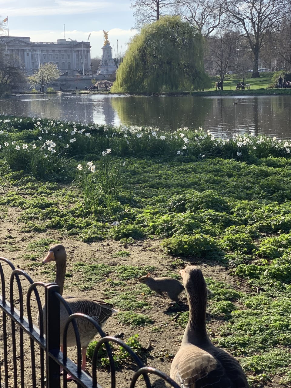 St James's Park
