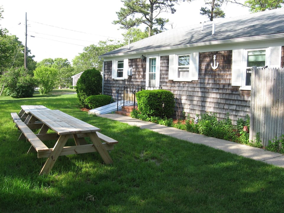 Another view of the back yard