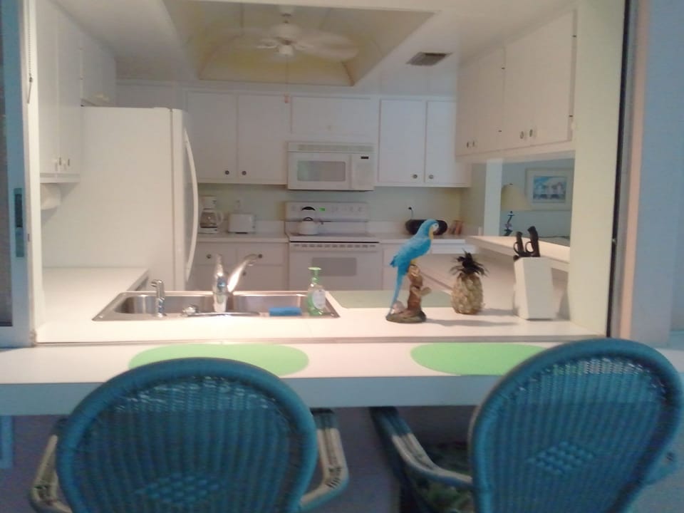 View of the kitchen from the lanai bar.