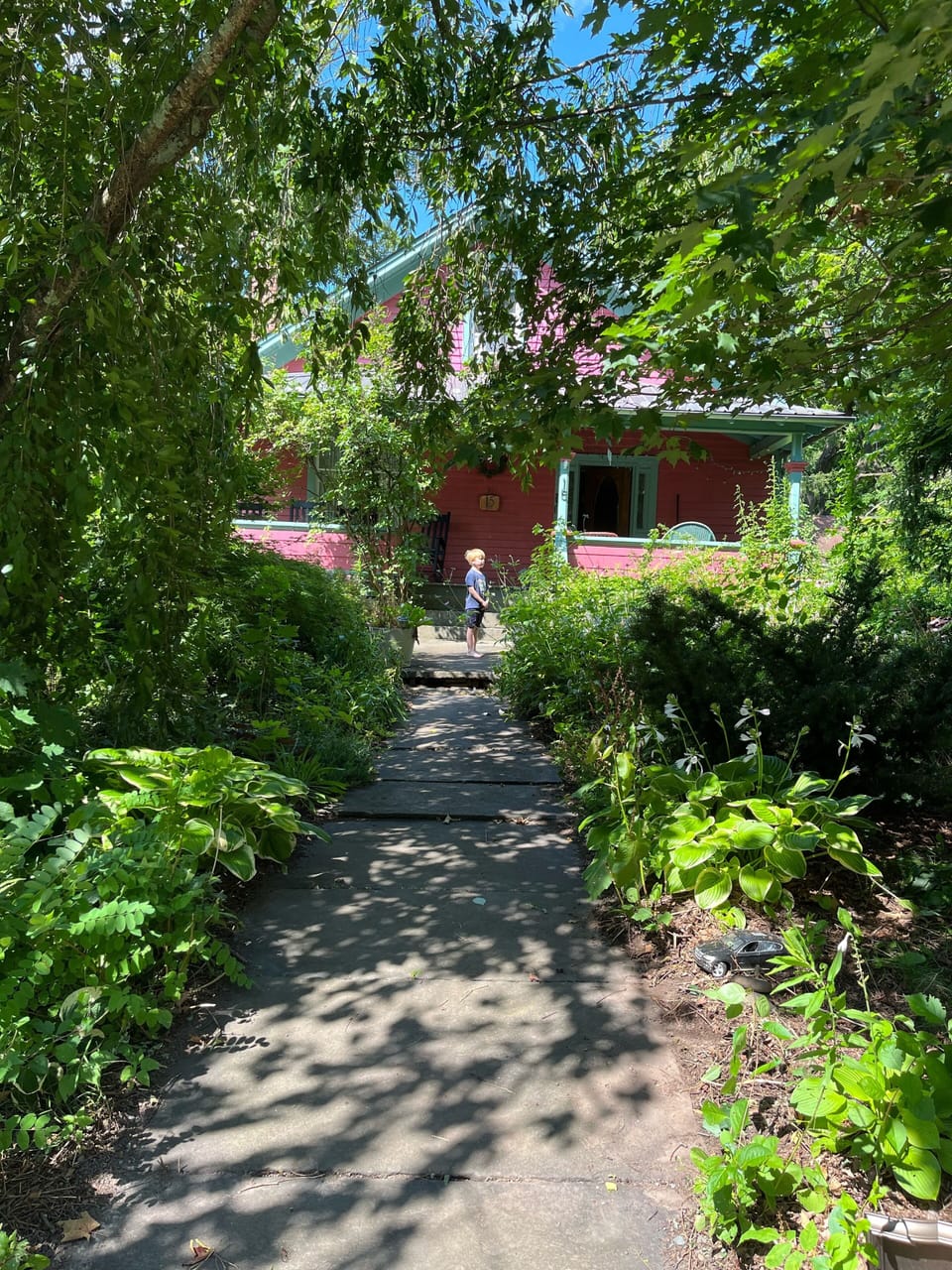 Front yard in the height of summer is full of plants which bees &
butterflies❤️
