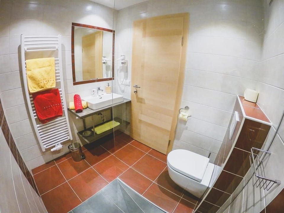 Apartment 2 / 2 bedrooms - Macheiner, Samer Apartment in Salzburgerland