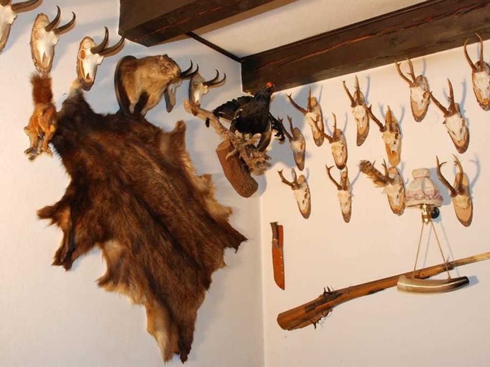 Interior detail