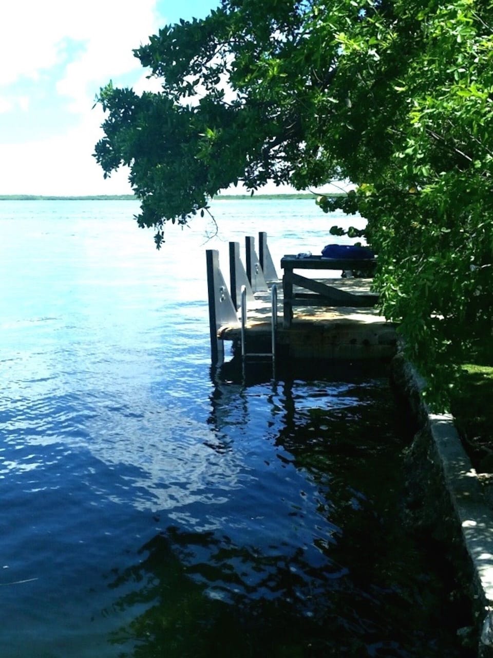 Dock with water, lights and electric for boats up to 40 feet in length -depth 5'