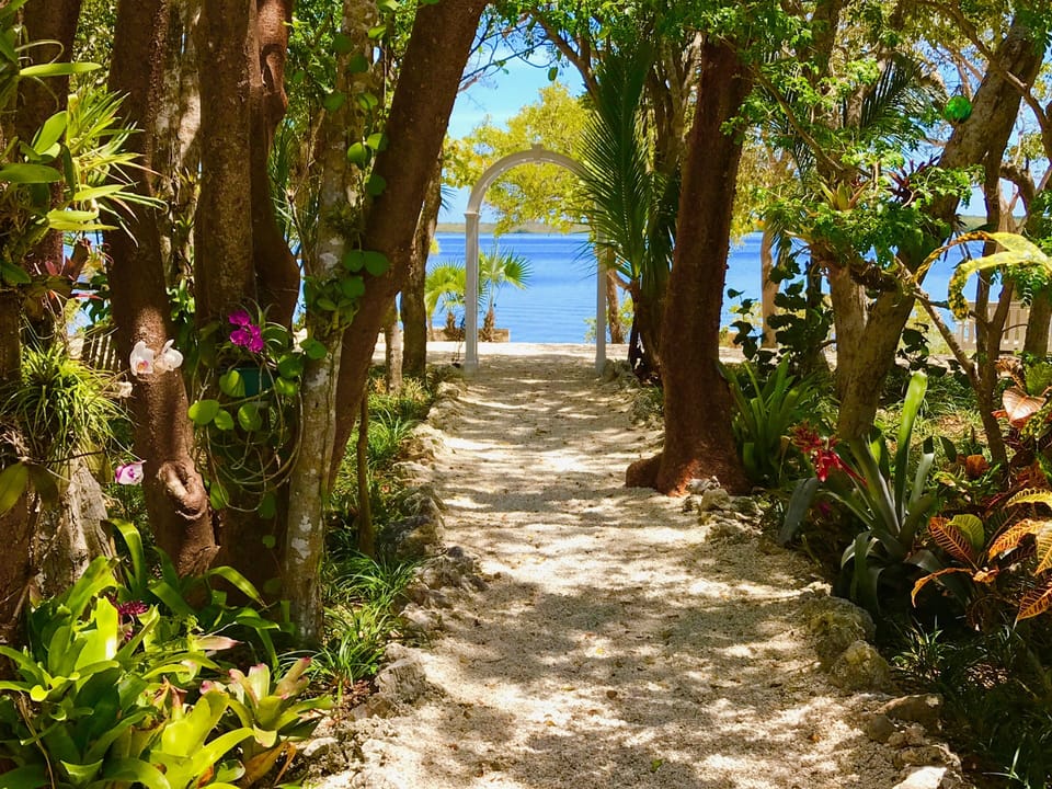 Path to water