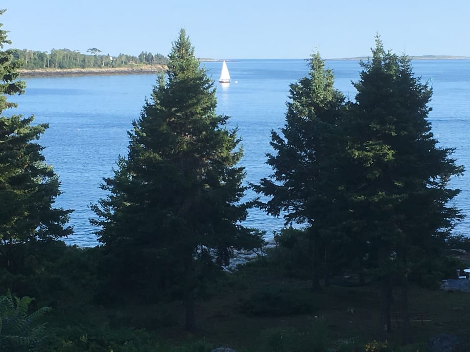 Late afternoon sailboat passing by.