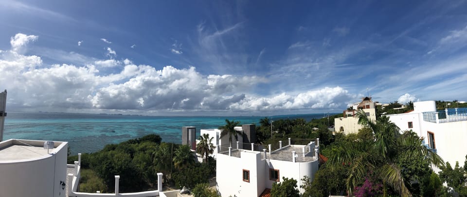 OUR NEIGHBORHOOD FROM THE ROOF 