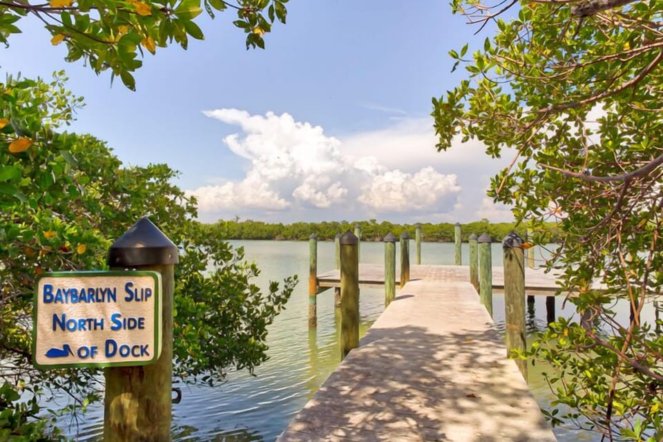 BaybarlynDock