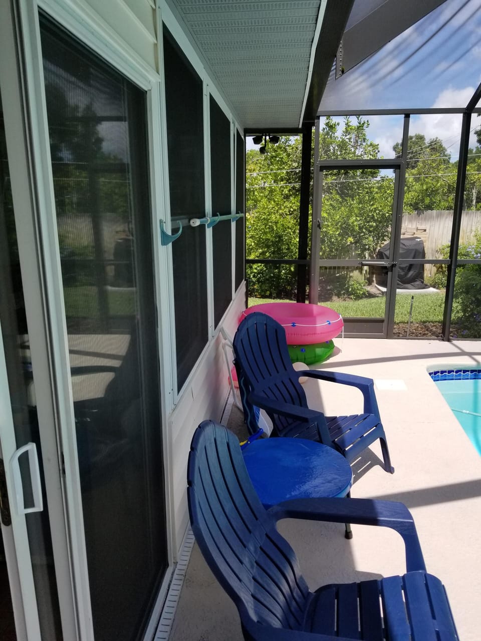 Relax, see Birds, Owls, Hummingbirds, butterflies, baby rabbits,  peaceful