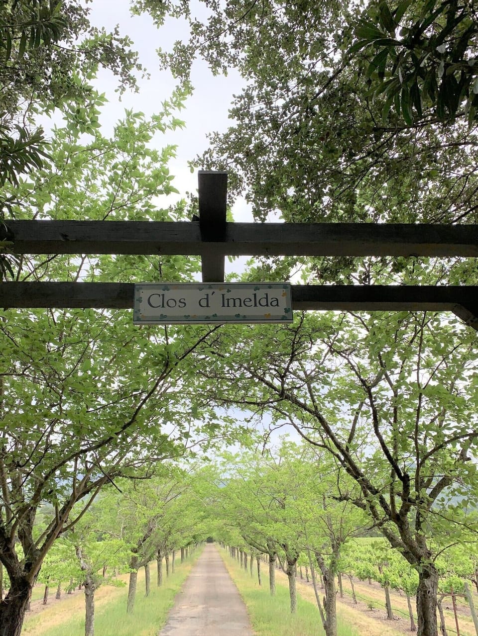 Enter the long driveway under the Clos d'Imelda sign.
