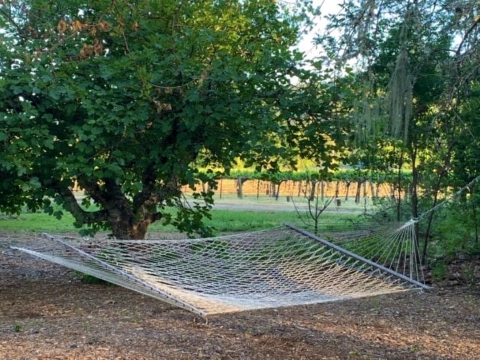 Relaxing hammock to read a book or take a nap