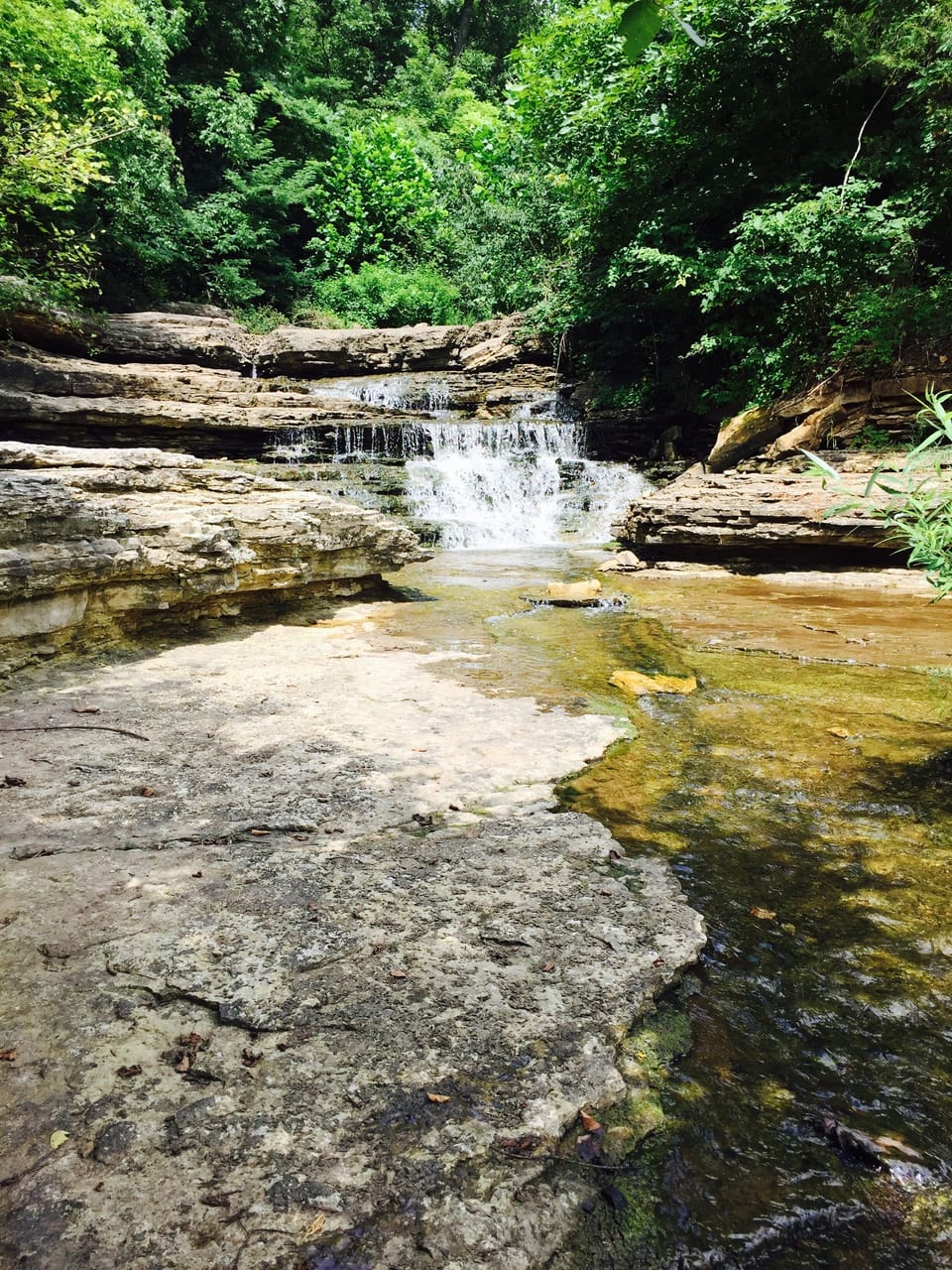 One of the many hiking areas within the resort.