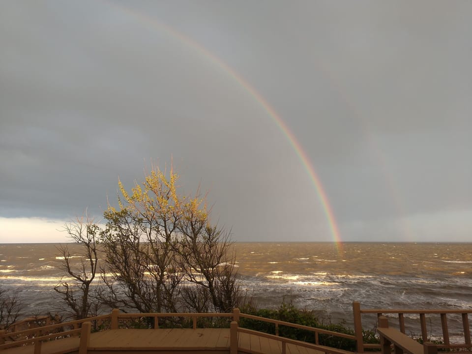 View from property