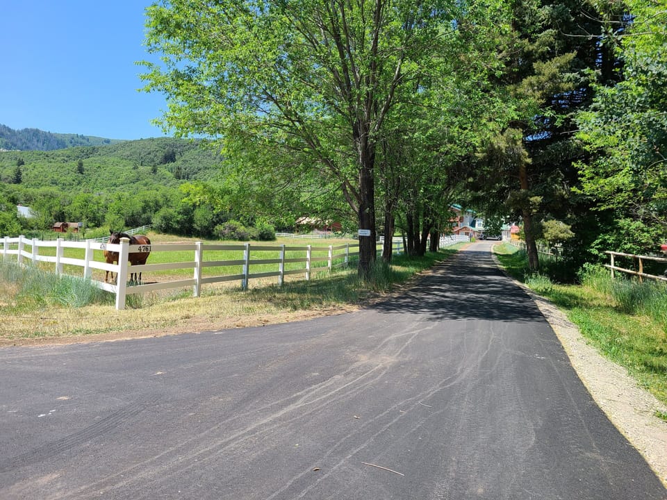 Driveway