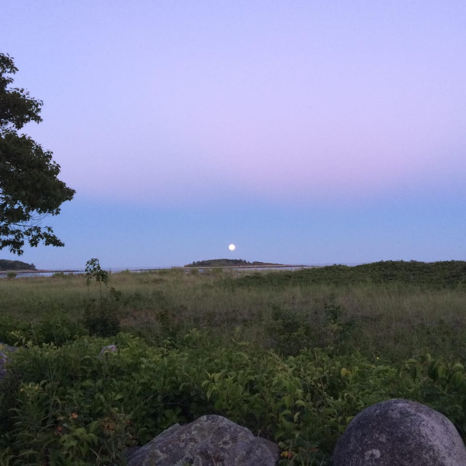 Blue moon rising over the Goose Rocks Beach sand dunes.