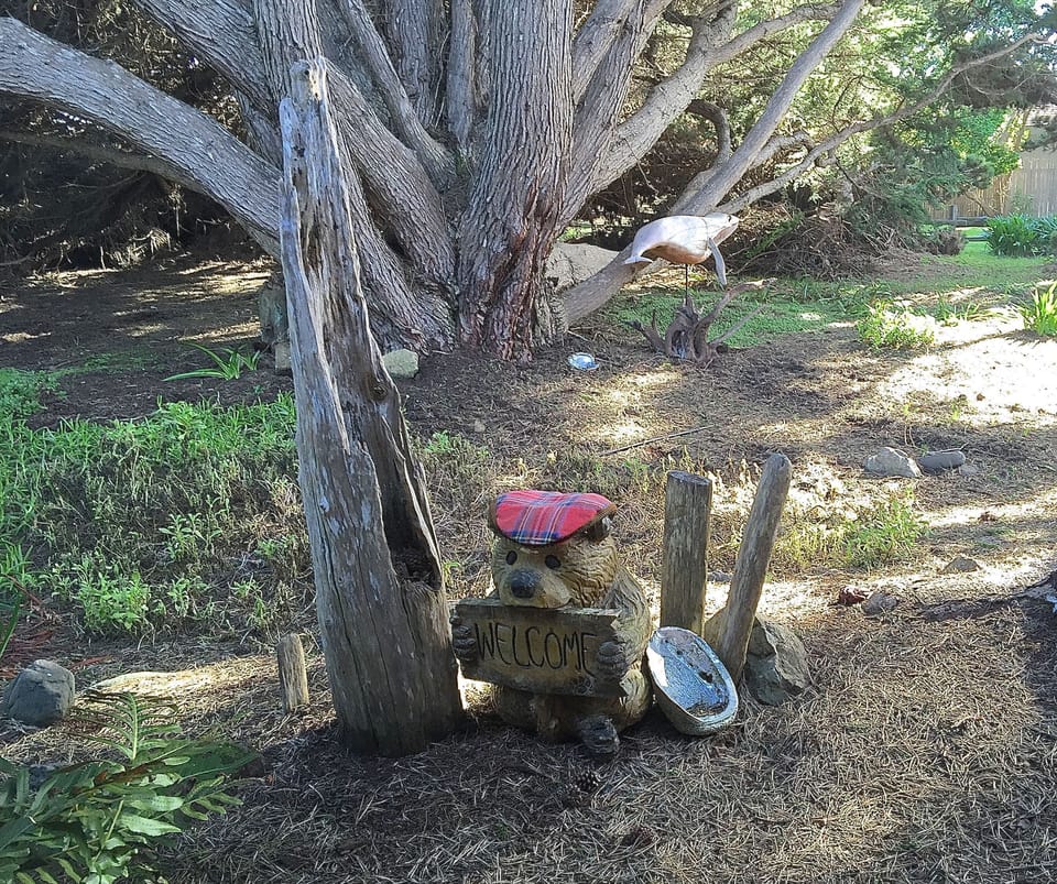 You are welcomed by our Whale Watch Bear.